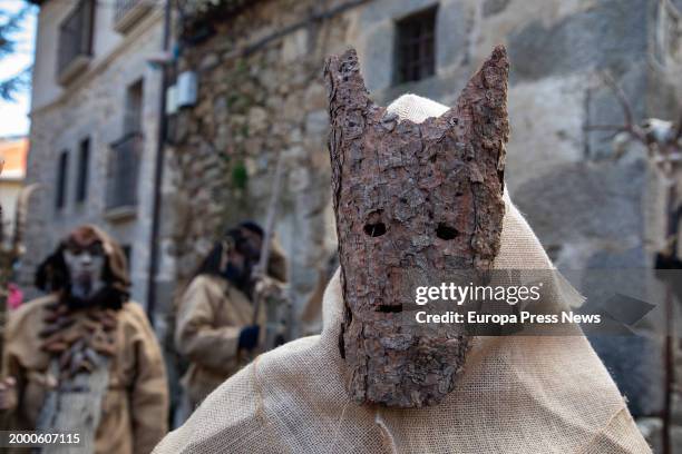 Person in costume during the Harramachos festival, on 10 February, 2024 in Navalacruz, Avila, Castilla y Leon, Spain. The Harramachos festival is a...
