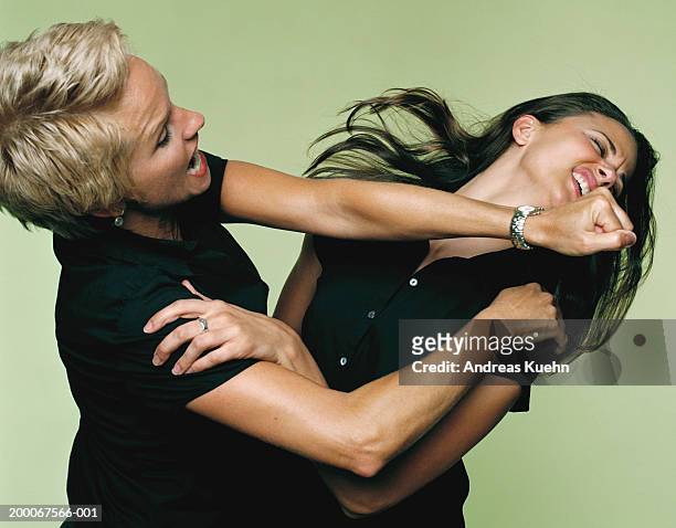 mature businesswoman punching woman - vechten stockfoto's en -beelden