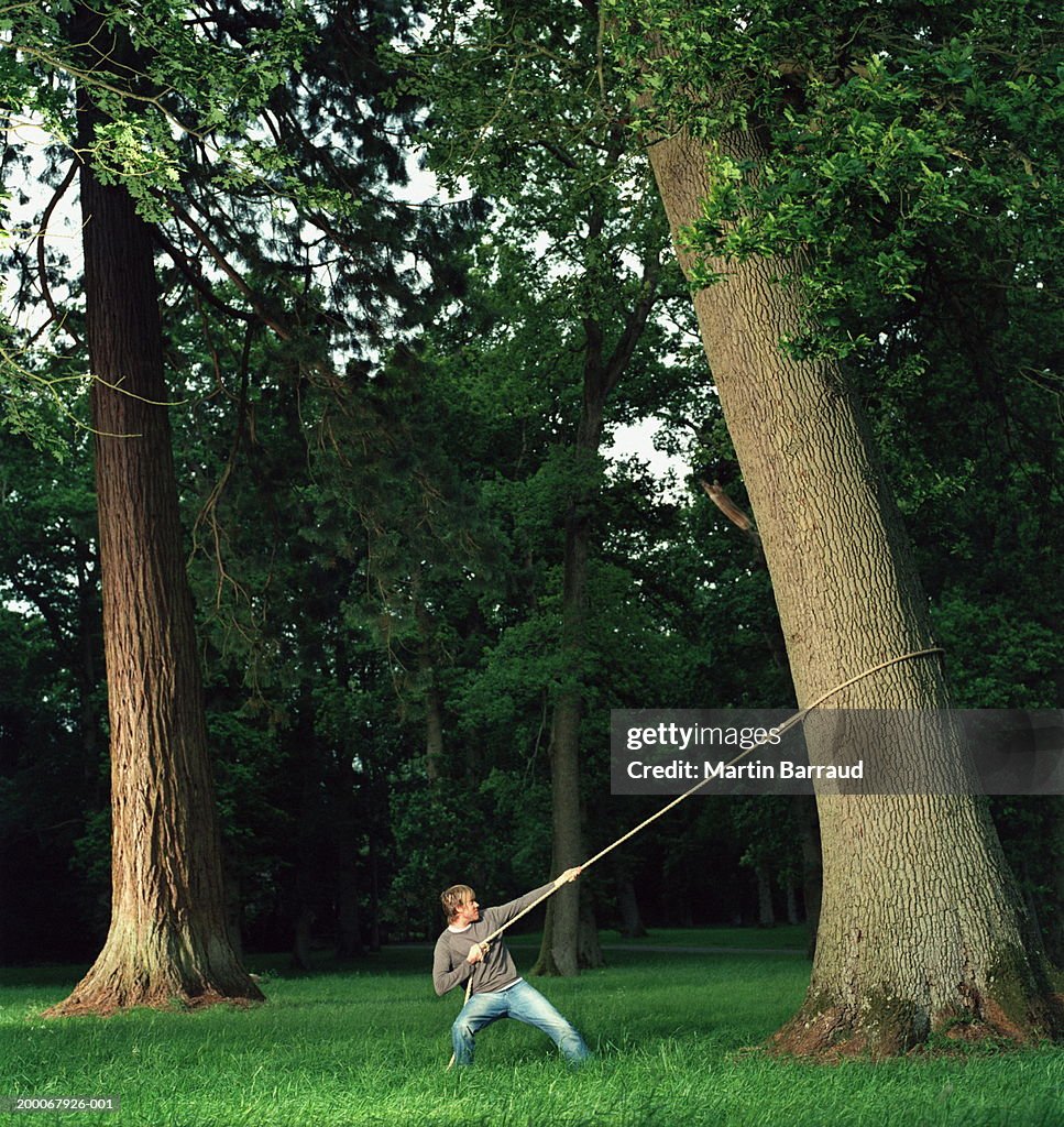 Young Man Pulling On Rope Looped Around Tree In Forest High-Res Stock Photo  - Getty Images