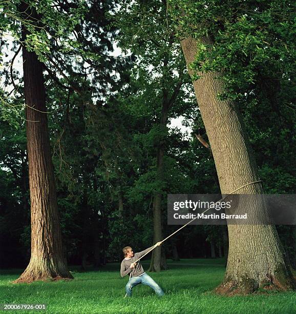 https://media.gettyimages.com/id/200067926-001/photo/young-man-pulling-on-rope-looped-around-tree-in-forest.jpg?s=612x612&w=gi&k=20&c=_SK76hA9JeuQmx8h5btPlSkSLx49-qglgccx47a7M-4=
