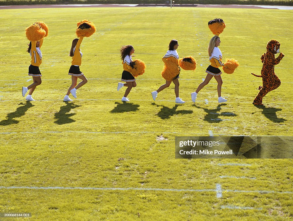 Tiger mascot running,  leading cheerleaders in line on football field