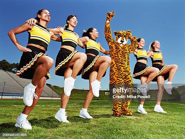 cheerleaders dancing arm and arm in formation, tiger mascot in middle - mascot stock-fotos und bilder