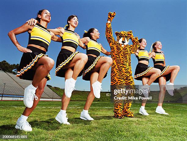 cheerleaders dancing arm and arm in formation, tiger mascot in middle - mascot foto e immagini stock