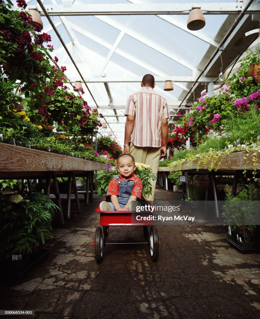 Man pulling toddler (1-3) and plants in wagon through nursery