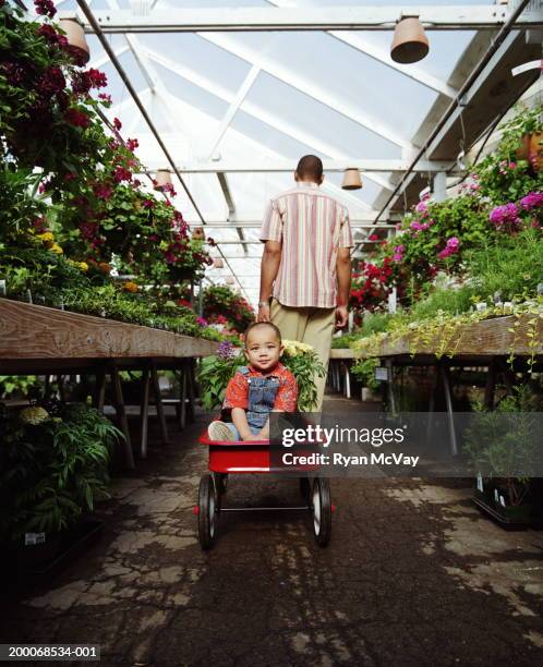 man pulling toddler (1-3) and plants in wagon through nursery - tuincentrum stockfoto's en -beelden