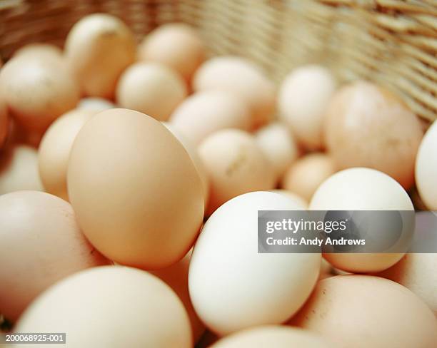 eggs in basket, close-up - eggs bildbanksfoton och bilder