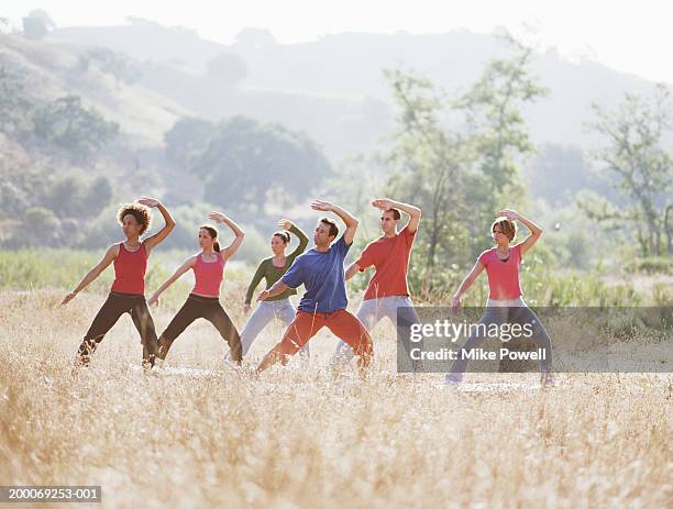 group of people doing thai-chi pose in field - tai chi imagens e fotografias de stock