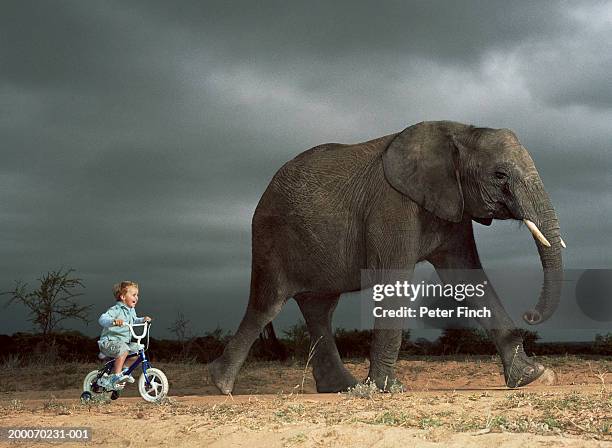 Children Riding Elephants Children Ride Elephant Photos and Premium High Res Pictures - Getty Images