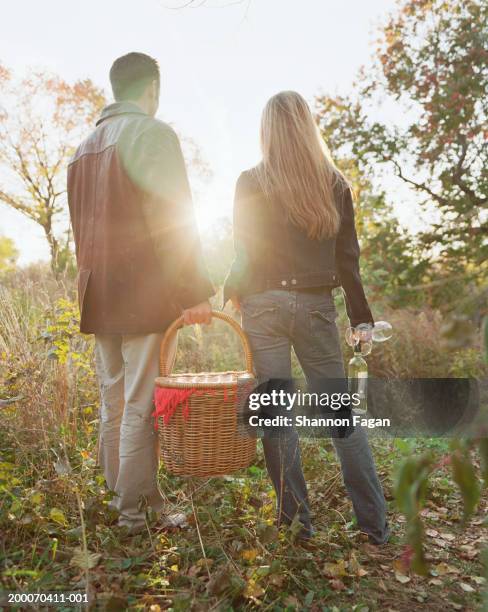 couple with picnic basket and wine in park, rear view - wine basket stock pictures, royalty-free photos & images