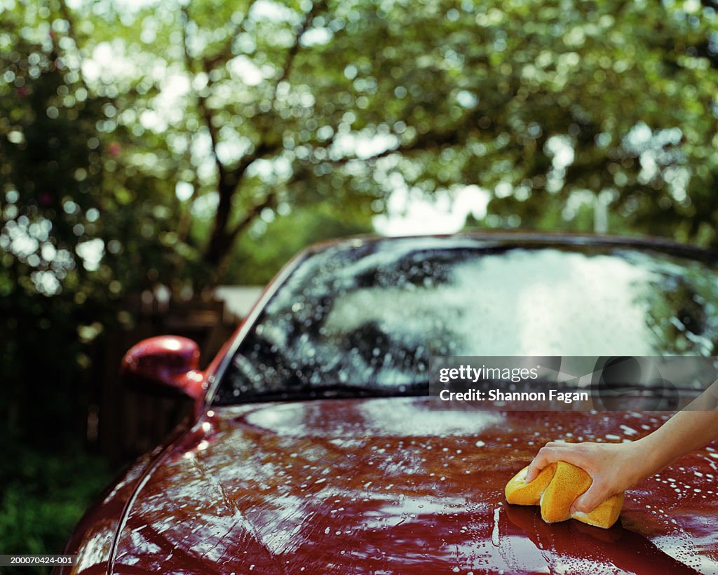 Woman washing car hood, close up