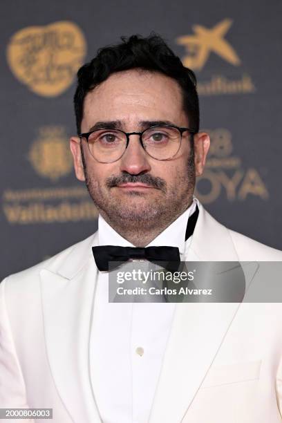 Juan Antonio Bayona attends the red carpet at the Goya Awards 2024 at Feria de Valladolid on February 10, 2024 in Valladolid, Spain.