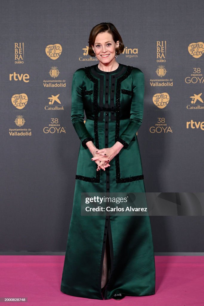 Red Carpet - Goya Cinema Awards 2024