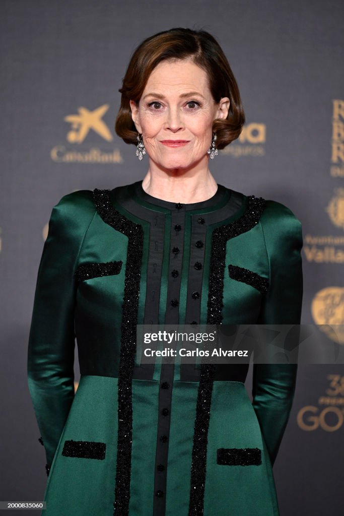 Red Carpet - Goya Cinema Awards 2024