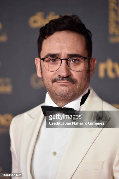 Juan Antonio Bayona attends the red carpet at the Goya Awards 2024 at Feria de Valladolid on February 10, 2024 in Valladolid, Spain.