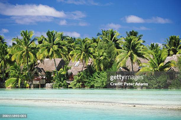 french polynesia, cook islands, aitutaki, beach huts amongst palm tree - cook islands stock pictures, royalty-free photos & images