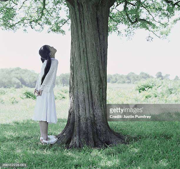 girl (7-9) facing tree trunk, looking up - sandal tree stock pictures, royalty-free photos & images