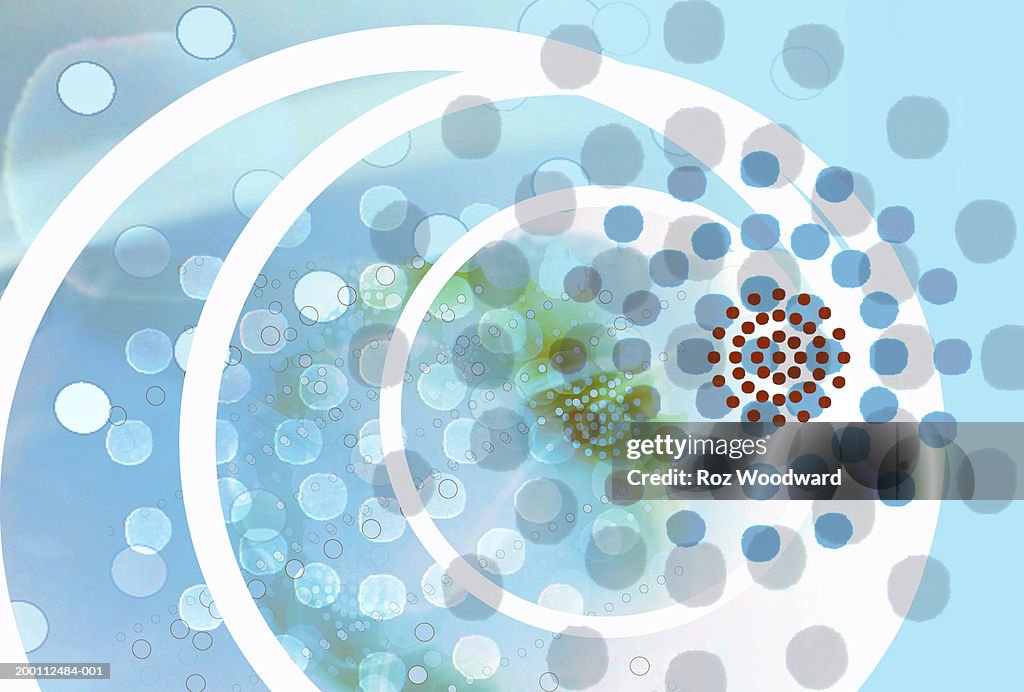 Circle Increasing Pattern Examples Pattern Of Spots In Increasing Circles High-Res Vector Graphic - Getty ...