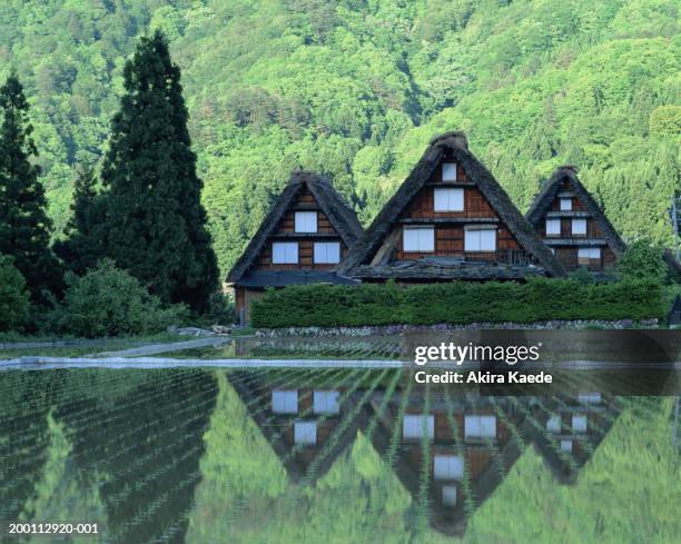 japan, gifu prefecture, shirakawa, homes beside rice paddy, spring - shirakawa go stockfoto's en -beelden