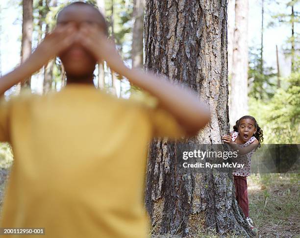 girl (5-7) hiding behind tree, boy (10-12) covers eyes (focus on girl) - gluren stockfoto's en -beelden