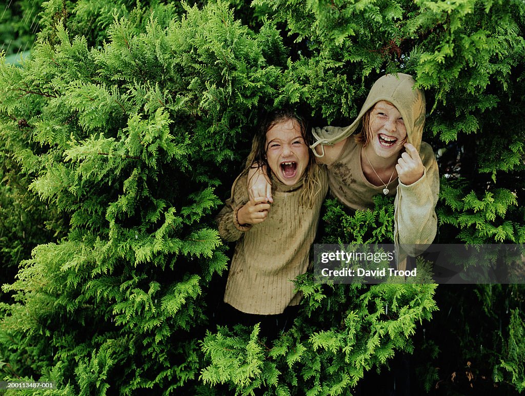 Two girls (6-12) sheltering from the rain under a pine tree, portrait