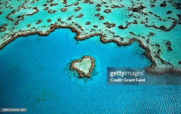 australia, great barrier reef, heart shaped reef, aerial view - australian ocean stock-fotos und bilder