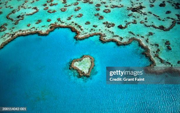 australia, great barrier reef, heart shaped reef, aerial view - reef stockfoto's en -beelden