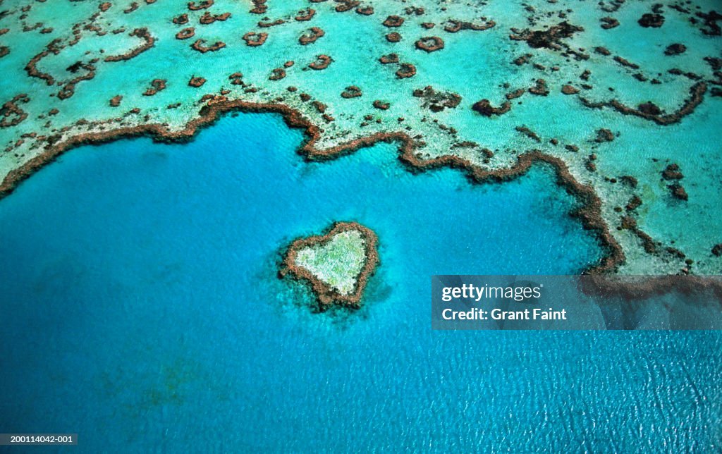 Australia, Great Barrier Reef, heart shaped reef, aerial view