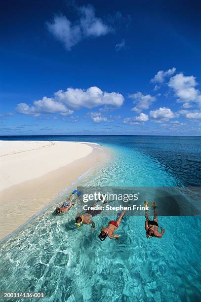 four snorkelers swimming along edge of sandbar, elevated view - snorkel beach stock pictures, royalty-free photos & images