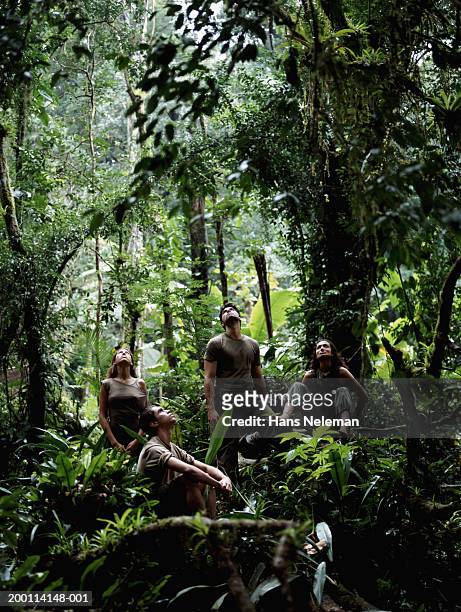four people in jungle looking upward - manage stockfoto's en -beelden