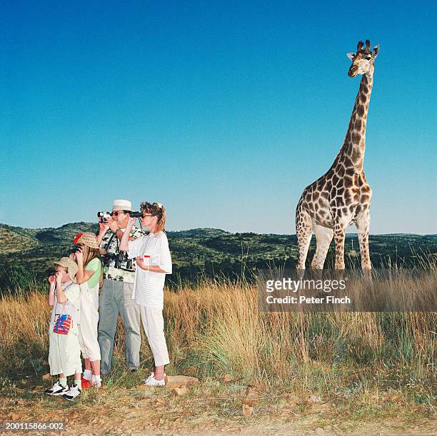 3,012 Giraffe Looking Up Photos and Premium High Res Pictures - Getty Images