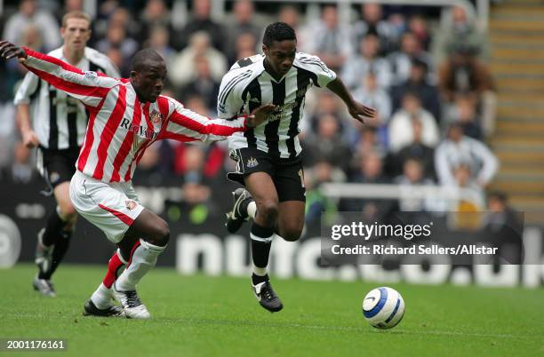Charles N'zogbia of Newcastle United and Nyron Nosworthy of Sunderland celebrate during the Premier League match between Newcastle United and...