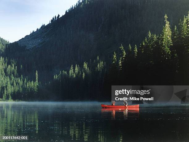 father and son (7-9) canoeing on lake - canada lake stock pictures, royalty-free photos & images