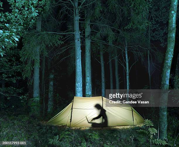 woman in tent using laptop computer, silhouette - isolamento foto e immagini stock