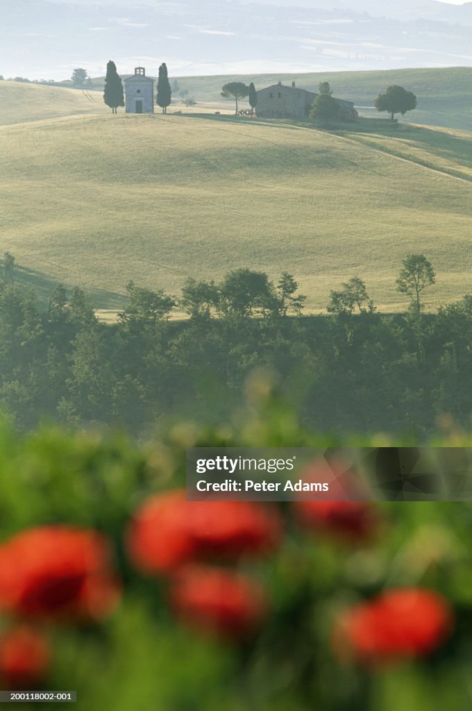 Italy, Tuscany, Val d'Orcia, church on hill near Pienza