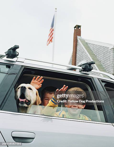 twin boys (6-8) waving from car window, portrait - dog waving stock pictures, royalty-free photos & images