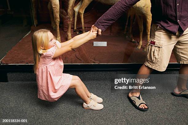 girl (5-7) pulling on man's hand in museum - persuasão imagens e fotografias de stock