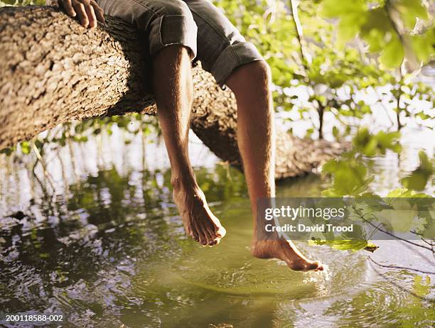 man sitting on branch dangling feet over stream, low section - bare feet male tree stock pictures, royalty-free photos & images