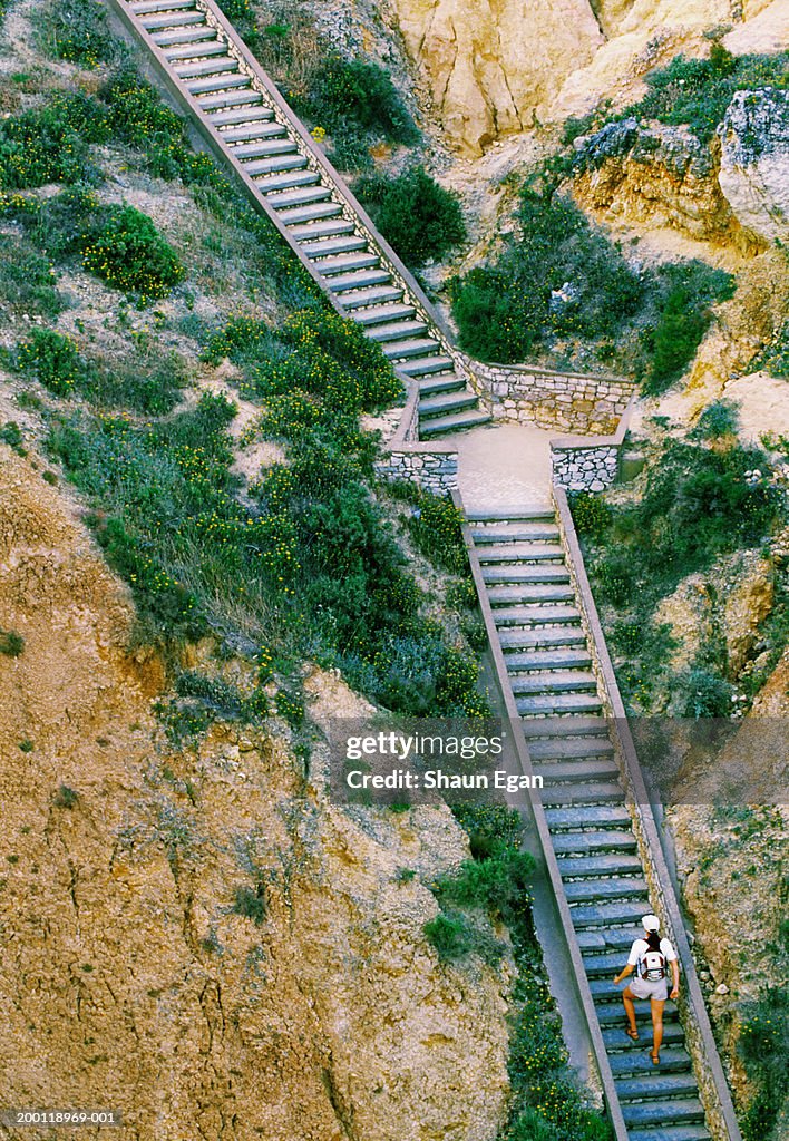 Woman walking up stone steps, elevated view