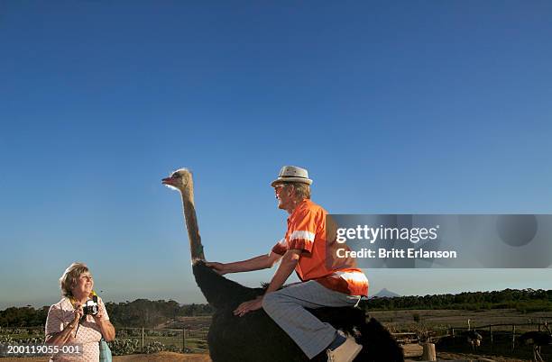 man sitting on ostrich beside woman holding camera (digital composite) - ostrich ストックフォトと画像