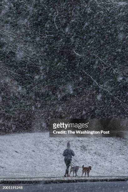 Woman and dogs take a run as heavy snow falls for a short period in the Washington, DC, area on February 13 in Reston, VA. Fairfax County Public...
