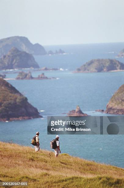 new zealand, bay of islands, two men hiking, sideview - bay of islands stock pictures, royalty-free photos & images