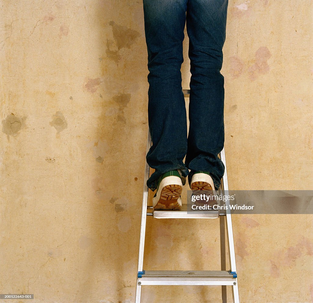Man on stepladder in front of bare wall, rear view, low section