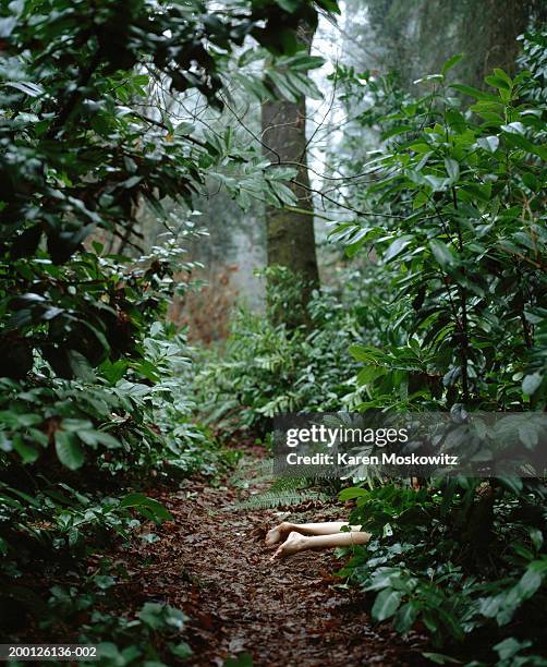 body of dead woman lying in woods, low section, elevated view - murder stock-fotos und bilder