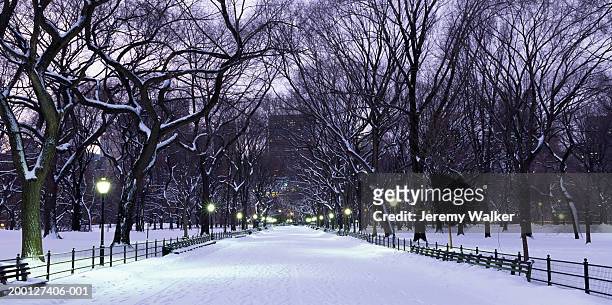 usa, new york, new york city, snow covered road in central park, dusk - central park winter stock pictures, royalty-free photos & images