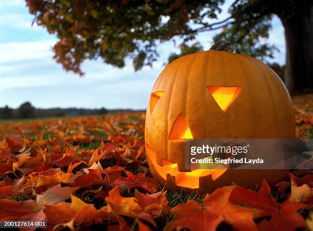 pumpkin lantern on leafy grass, close-up - jack o lantern stock-fotos und bilder