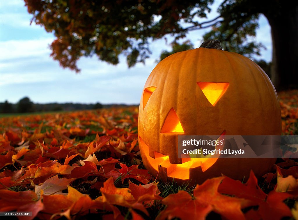Pumpkin lantern on leafy grass, close-up