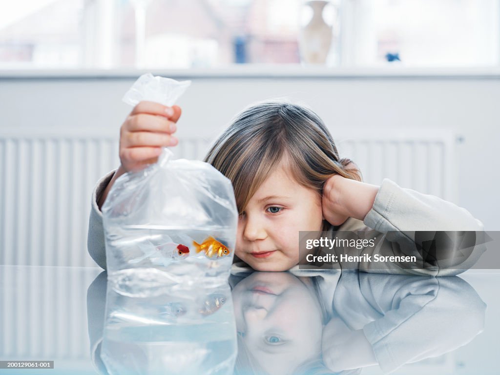 Girl (4-6) looking at two goldfish in plastic bag