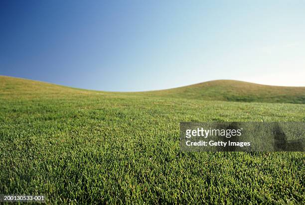 grassy hillside - anhöhe stock-fotos und bilder