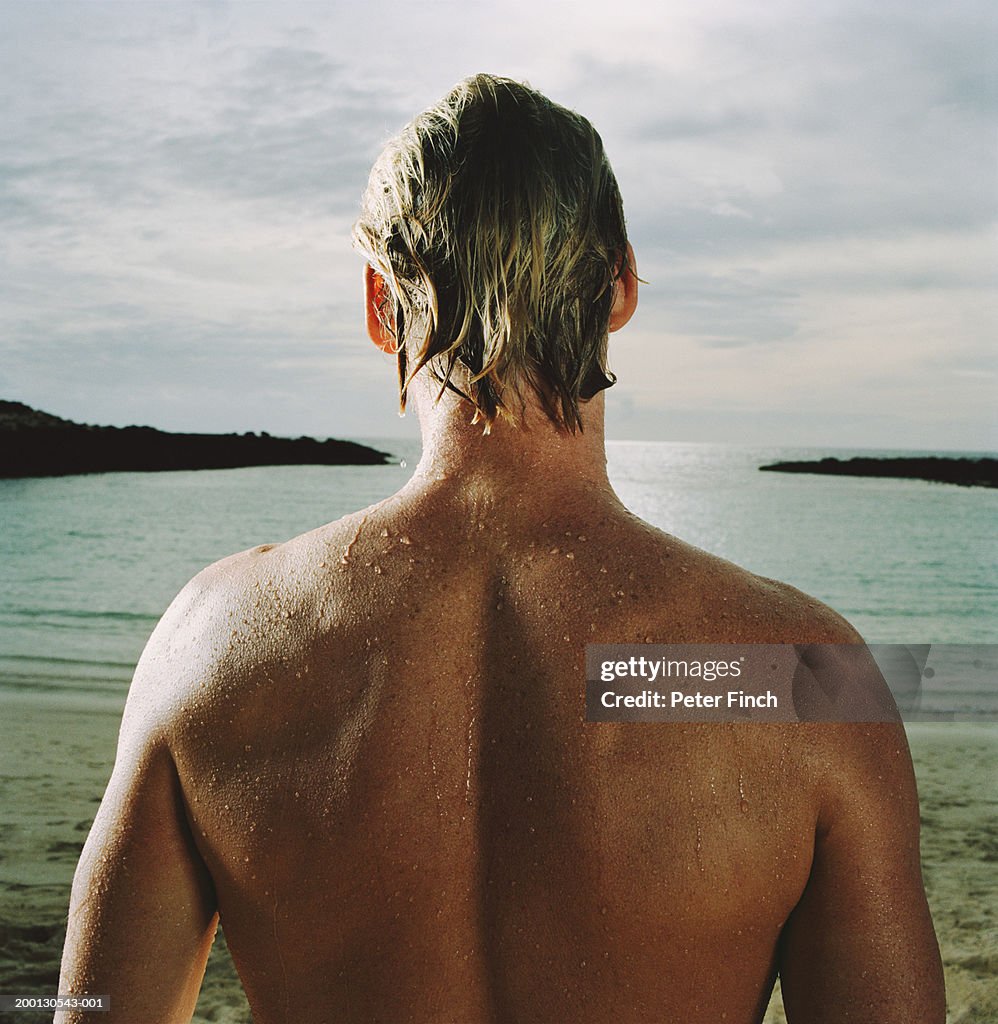 Man with wet hair and back looking out across water, rear view