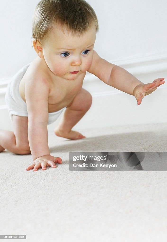 Baby girl (9-12 months) crawling on floor, ground view